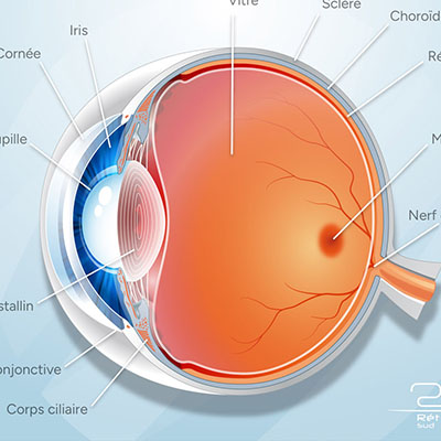 illustration technique et médicale