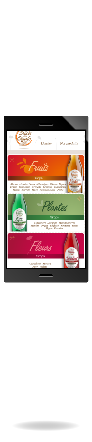 Exemple design web responsive : version mobile site Délices de la Cigale