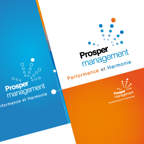 Création du logo Prosper Management Montpellier avec charte graphique et carte de visite