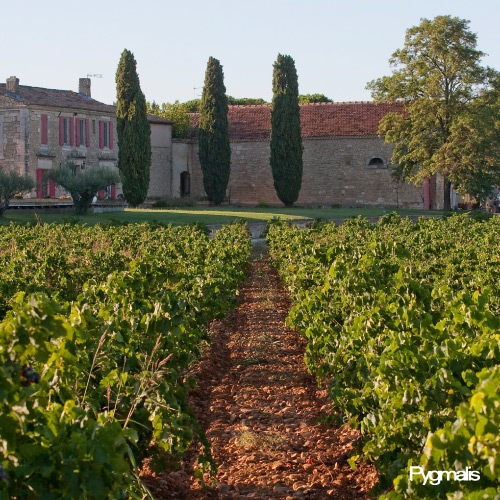 Reportage photo en lumière de fin de journée - Vignes - Bâtisses