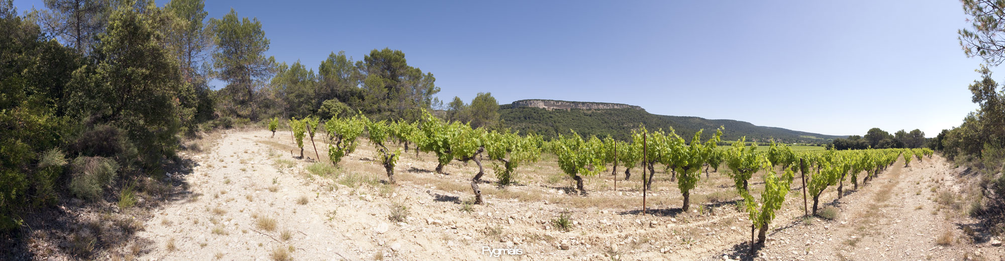 Photo panoramique en Pic Saint Loup - Domaine de vin de Lavabre